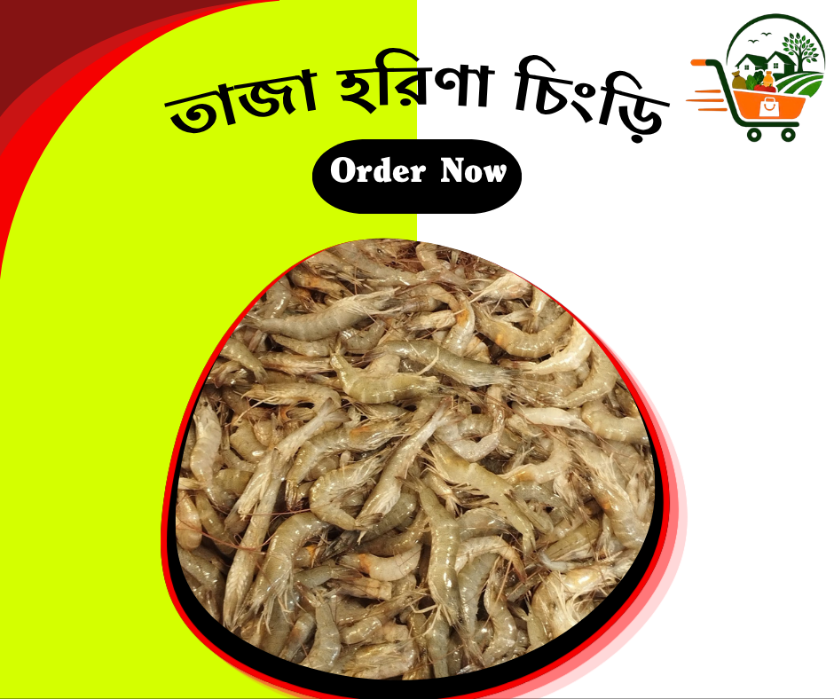 খুলনায় নিহত সাবেক কাউন্সিলর টিপুর বাসায় ডিবির অভিযান, ১৫৪ পিস গুলিসহ বড় ভাই আটক